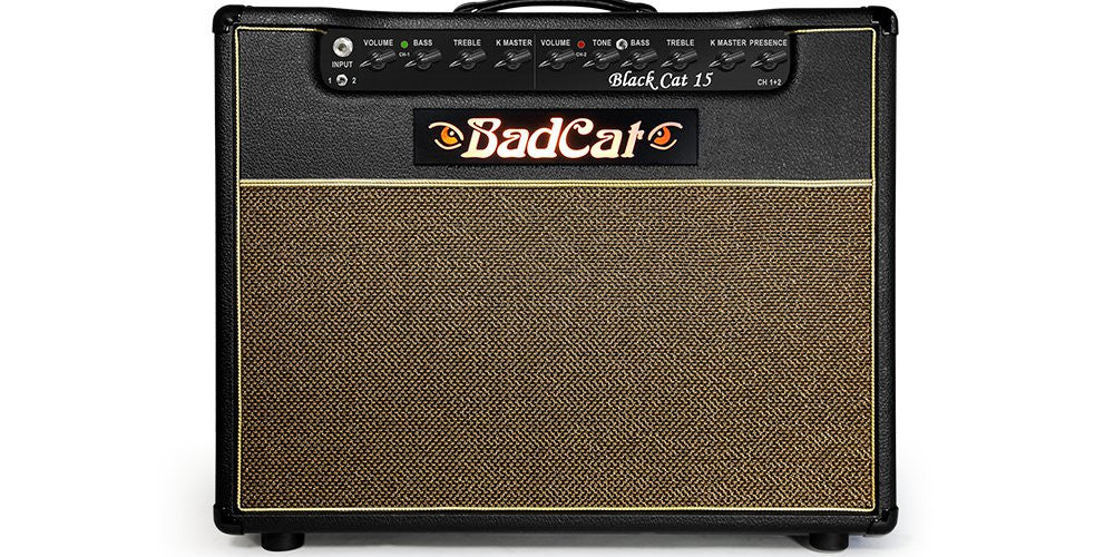 Bad Cat Black Cat 15