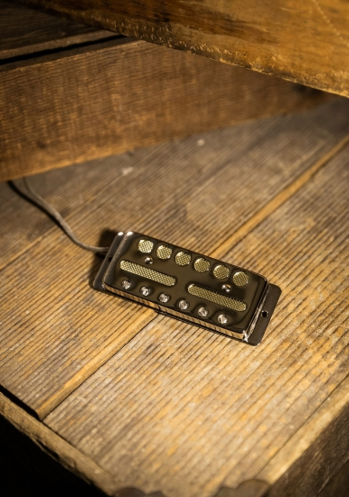 LOLLAR 10-701-41-2 GOLD FOIL NECK SURFACE MOUNT/CHROME COVER ($195 USD)