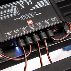 Daddario solderless store cable kit