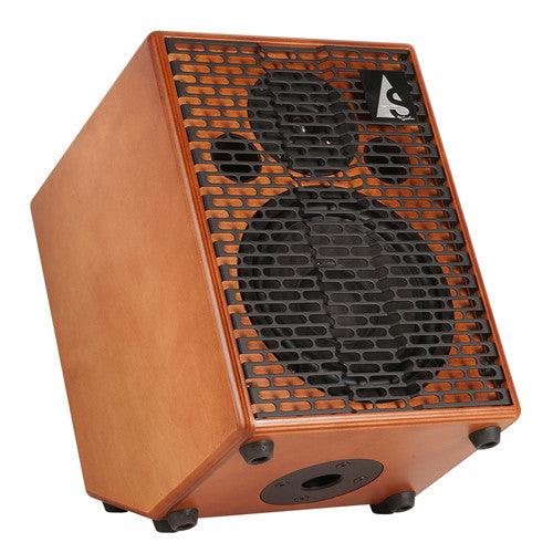 Acoustic Solutions AGS-150 Acoustic Amp