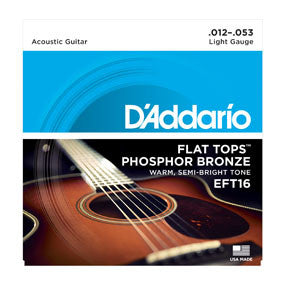 D'Addario EFT16 Set