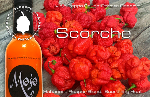 MOJO PEPPA SAUCE ‘SCORCHE’ HABANERO & CAROLINA REAPER BLEND HOT SAUCE 5 OZ. BOTTLE